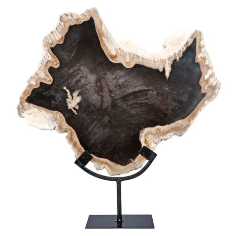 Versteend hout schijf gepolijst op standaard 37,5 x 32 x 2 cm | 3731 gram Versteend hout schijf gepolijst op standaard 37,5 x 32 x 2 cm | 3731 gram