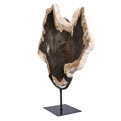 Versteend hout schijf gepolijst op standaard 37,5 x 32 x 2 cm | 3731 gram Versteend hout schijf gepolijst op standaard 37,5 x 32 x 2 cm | 3731 gram