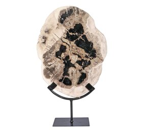 Versteend hout schijf gepolijst op standaard 30,5 x 23 x 2 cm | 2420 gram Versteend hout schijf gepolijst op standaard 30,5 x 23 x 2 cm | 2420 gram