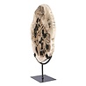 Versteend hout schijf gepolijst op standaard 30,5 x 23 x 2 cm | 2420 gram Versteend hout schijf gepolijst op standaard 30,5 x 23 x 2 cm | 2420 gram