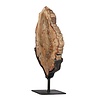 Versteend hout schijf gepolijst op standaard 17 x 12,5 x 1,5 cm | 679 gram Versteend hout schijf gepolijst op standaard 17 x 12,5 x 1,5 cm | 679 gram