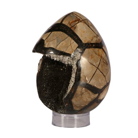 Septarie edelsteen ei 12,5 x 9 cm | 1154 gram