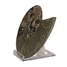 Ammoniet fossiel paar gepolijst 17,5 x 14 x 4 cm | 1013 gram Ammoniet fossiel paar gepolijst 17,5 x 14 x 4 cm | 1013 gram