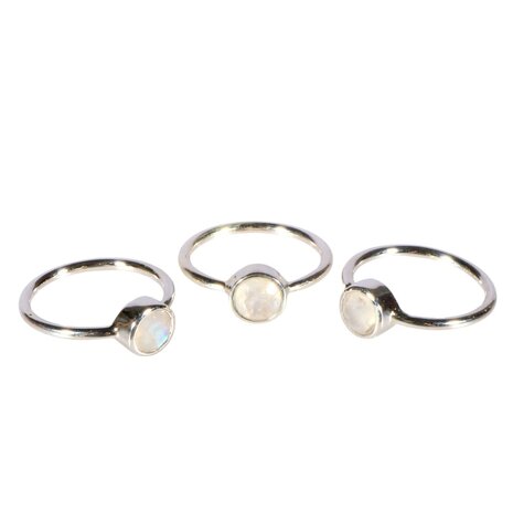 Zilveren ring maansteen (regenboog) maat 17 | rond facet 6 mm