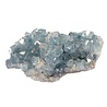 Celestien cluster 13 x 9,5 x 7 cm | 989 gram Celestien cluster 13 x 9,5 x 7 cm | 989 gram