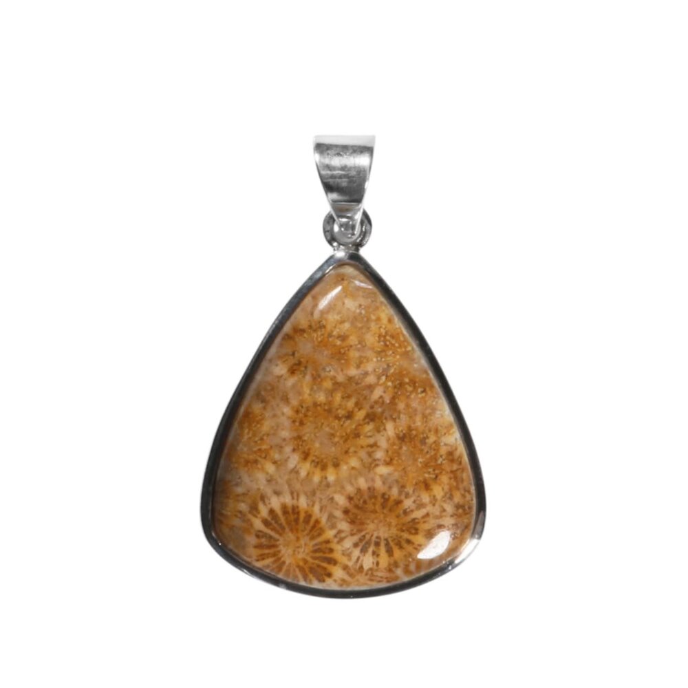 Zilveren hanger versteend koraal | druppel 2,8 x 2,3 cm Zilveren hanger versteend koraal | druppel 2,8 x 2,3 cm