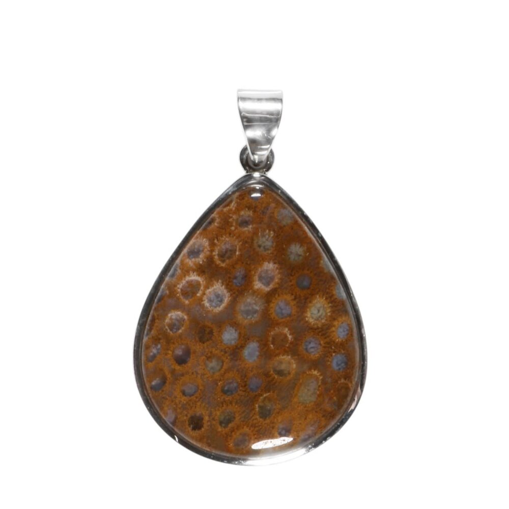 Zilveren hanger versteend koraal | druppel 3,5 x 2,7 cm