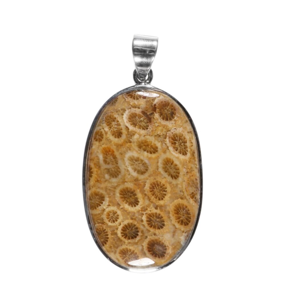 Zilveren hanger versteend koraal | ovaal 3,9 x 2,5 cm Zilveren hanger versteend koraal | ovaal 3,9 x 2,5 cm