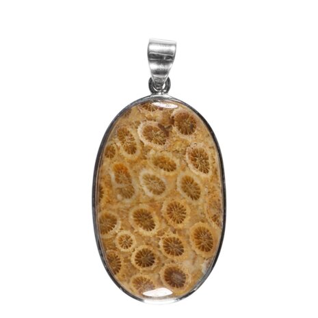 Zilveren hanger versteend koraal | ovaal 3,9 x 2,5 cm Zilveren hanger versteend koraal | ovaal 3,9 x 2,5 cm