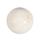 Scoleciet bol 54 mm | 185 gram Scoleciet bol 54 mm | 185 gram