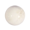 Scoleciet bol 54 mm | 185 gram Scoleciet bol 54 mm | 185 gram