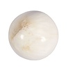Scoleciet bol 61 mm | 264 gram Scoleciet bol 61 mm | 264 gram