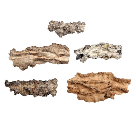 Fulguriet of bliksembuis 10 - 15 gram Fulguriet of bliksembuis 10 - 15 gram