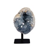 Celestien cluster op standaard 8 x 6,5 x 5 cm | 464 gram Celestien cluster op standaard 8 x 6,5 x 5 cm | 464 gram