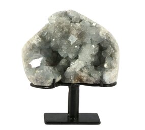 Celestien cluster A-kwaliteit 14 x 9,5 x 5 cm | 1359 gram | op standaard Celestien cluster A-kwaliteit 14 x 9,5 x 5 cm | 1359 gram | op standaard