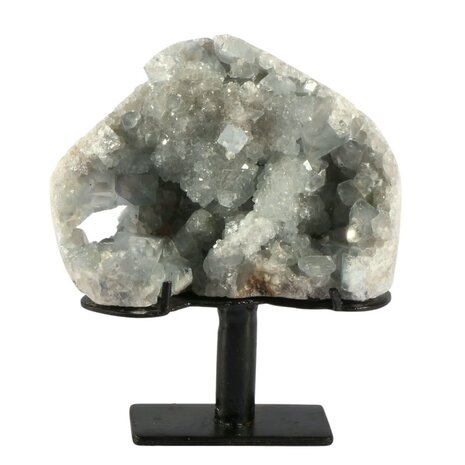 Celestien cluster A-kwaliteit 14 x 9,5 x 5 cm | 1359 gram | op standaard Celestien cluster A-kwaliteit 14 x 9,5 x 5 cm | 1359 gram | op standaard