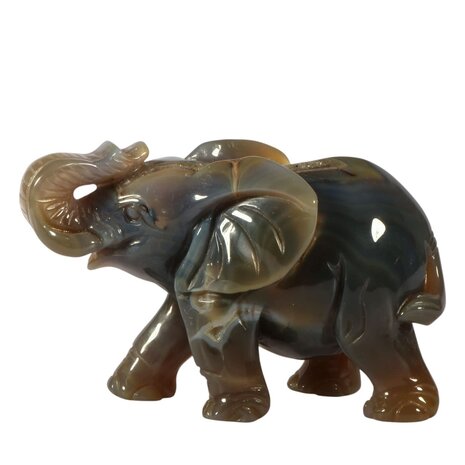 Agaat olifant 8,3 x 12,7 x 6,3 cm | 576 gram