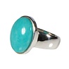 Zilveren ring amazoniet maat 17 1/2 | ovaal 1,8 x 1,3 cm