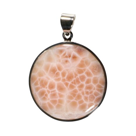 Zilveren hanger natroliet | rond 3,2 cm Zilveren hanger natroliet | rond 3,2 cm