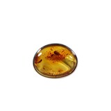 Zilveren ring barnsteen maat 18 | ovaal 1,6 x 2,1 cm Zilveren ring barnsteen maat 18 | ovaal 1,6 x 2,1 cm