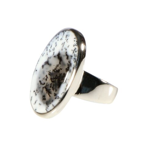 Zilveren ring merliniet maat 19 | ovaal 2,8 x 1,7 cm