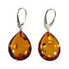 Zilveren oorbellen barnsteen | druppel 2,4 x 1,8 cm Zilveren oorbellen barnsteen | druppel 2,4 x 1,8 cm