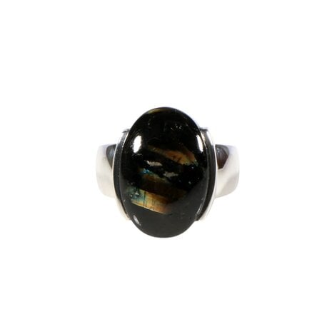 Zilveren ring nuummiet maat 17 1/2 | ovaal 1,9 x 1,3 cm