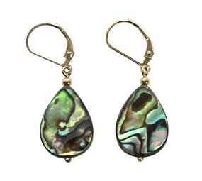 Gold filled oorbellen paua schelp | druppel
