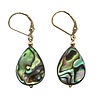 Gold filled oorbellen paua schelp | druppel Gold filled oorbellen paua schelp | druppel