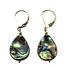 Gold filled oorbellen paua schelp | druppel Gold filled oorbellen paua schelp | druppel