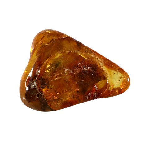 Barnsteen gepolijst | 4,8 x 3,8 x 2,3 cm | 19 gram