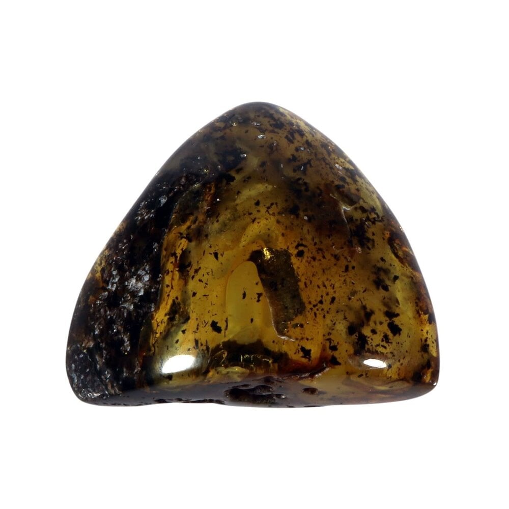 Barnsteen gepolijst | 6,5 x 5,9 x 2,9 cm | 56 gram