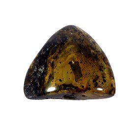 Barnsteen gepolijst | 6,5 x 5,9 x 2,9 cm | 56 gram