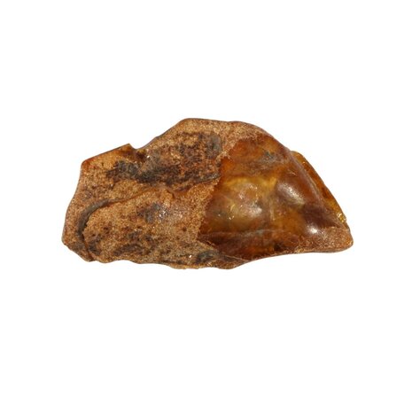 Barnsteen ruw 5 - 10 gram Barnsteen ruw 5 - 10 gram