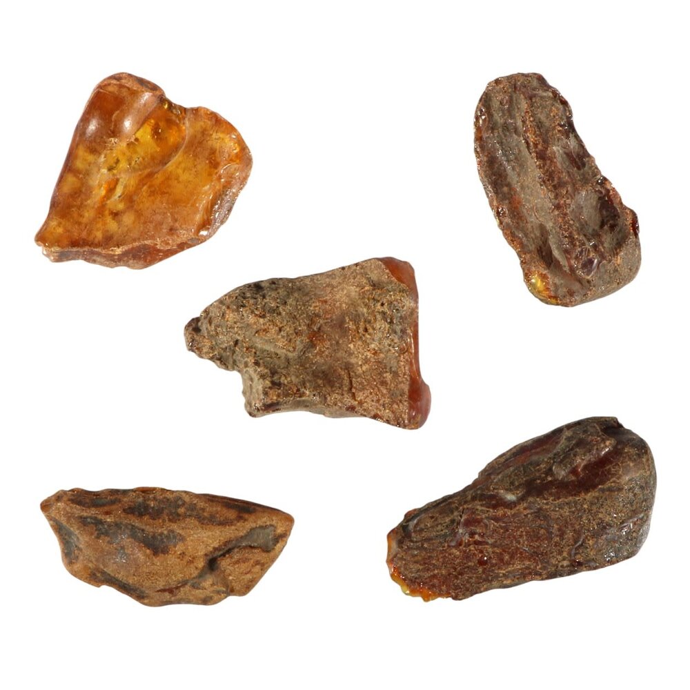 Barnsteen ruw 5 - 10 gram Barnsteen ruw 5 - 10 gram