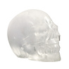 Mariaglas kristallen schedel 10,3 x 8 x 6,5 cm | 715 gram Mariaglas kristallen schedel 10,3 x 8 x 6,5 cm | 715 gram