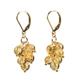 Gold filled oorbellen citrien tros Gold filled oorbellen citrien tros