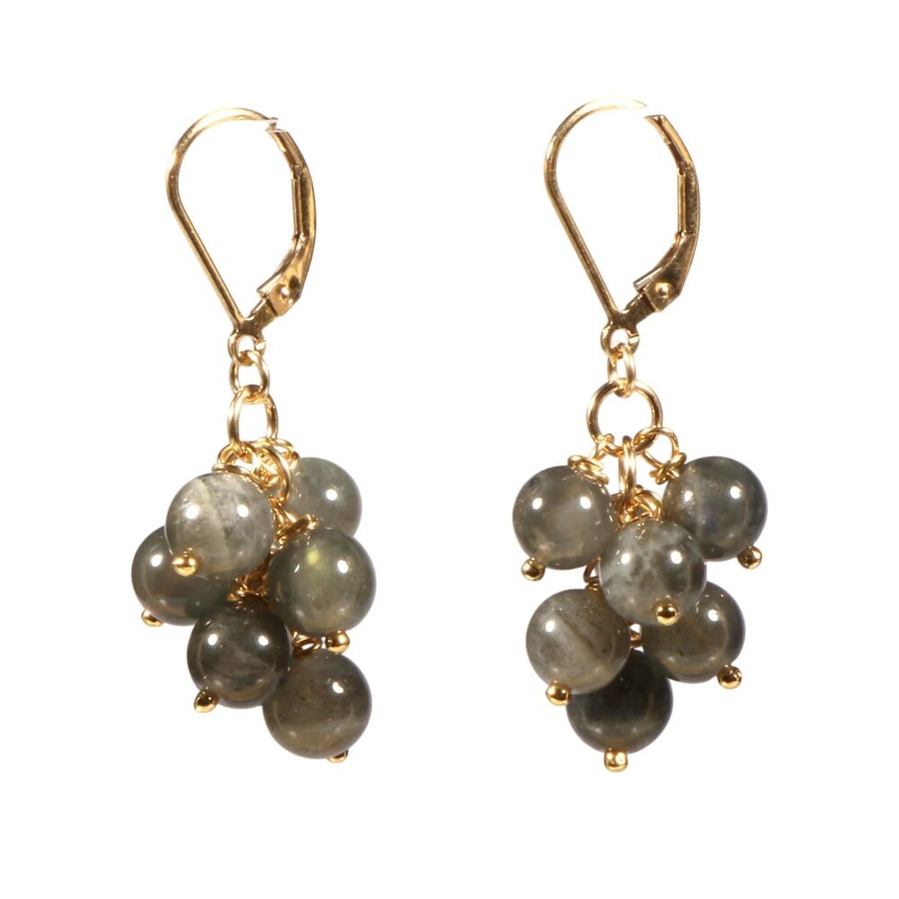 Gold filled oorbellen labradoriet tros Gold filled oorbellen labradoriet tros