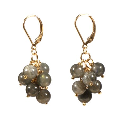 Gold filled oorbellen labradoriet tros Gold filled oorbellen labradoriet tros