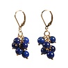 Gold filled oorbellen lapis lazuli tros Gold filled oorbellen lapis lazuli tros