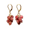 Gold filled oorbellen robijn tros Gold filled oorbellen robijn tros
