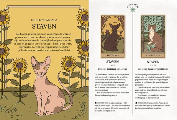 Mystieke katten tarot Mystieke katten tarot