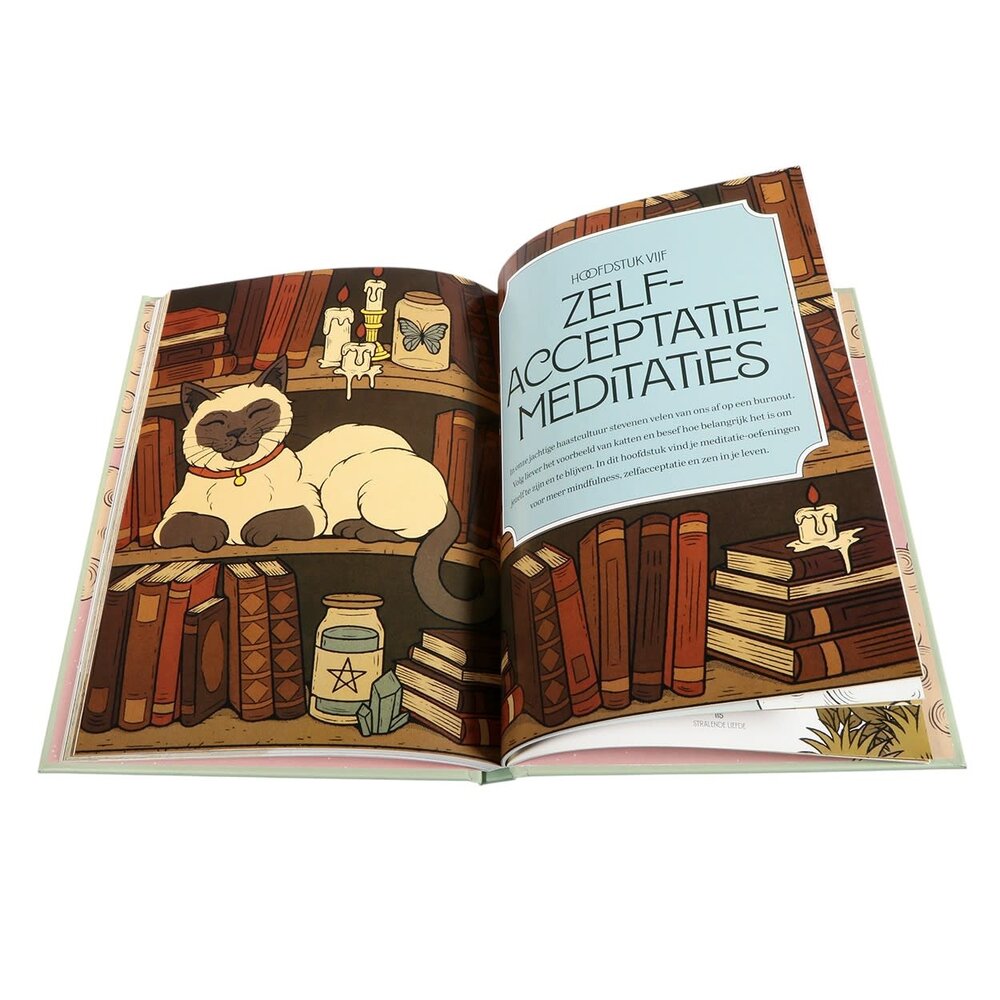 Mystieke katten meditatiegids