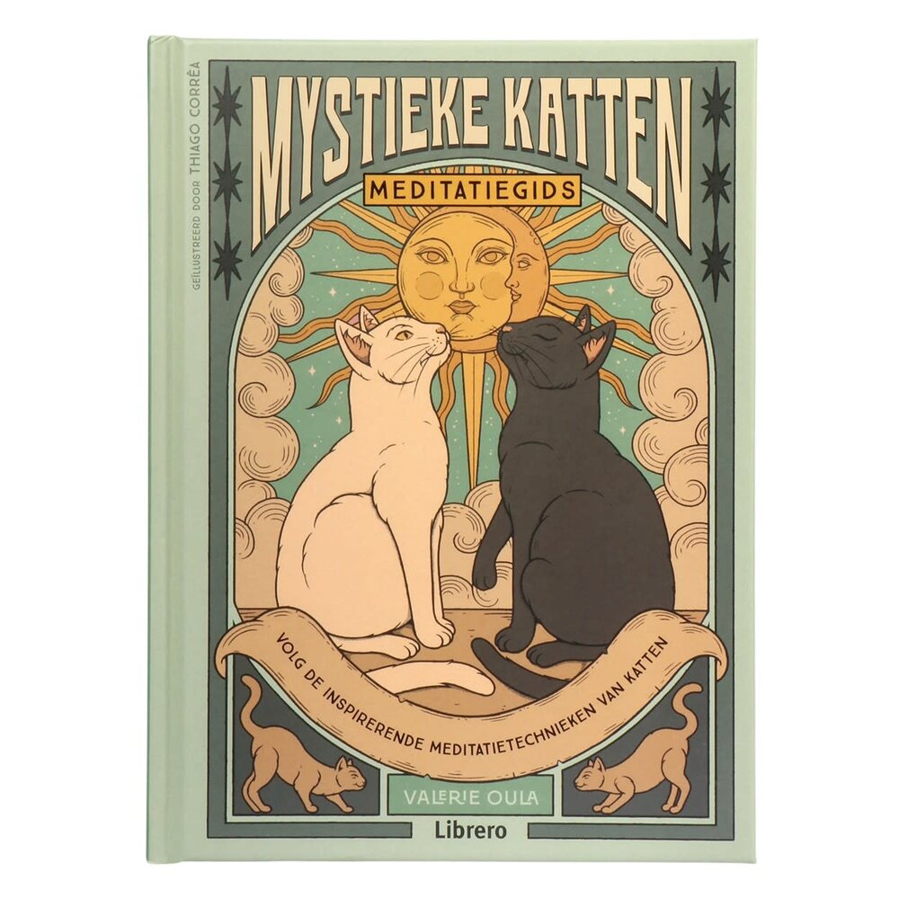 Mystieke katten meditatiegids