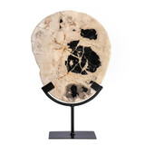 Versteend hout schijf gepolijst op standaard 24,5 x 21,2 x 2,4 cm | 1843 gram