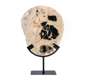 Versteend hout schijf gepolijst op standaard 24,5 x 21,2 x 2,4 cm | 1843 gram