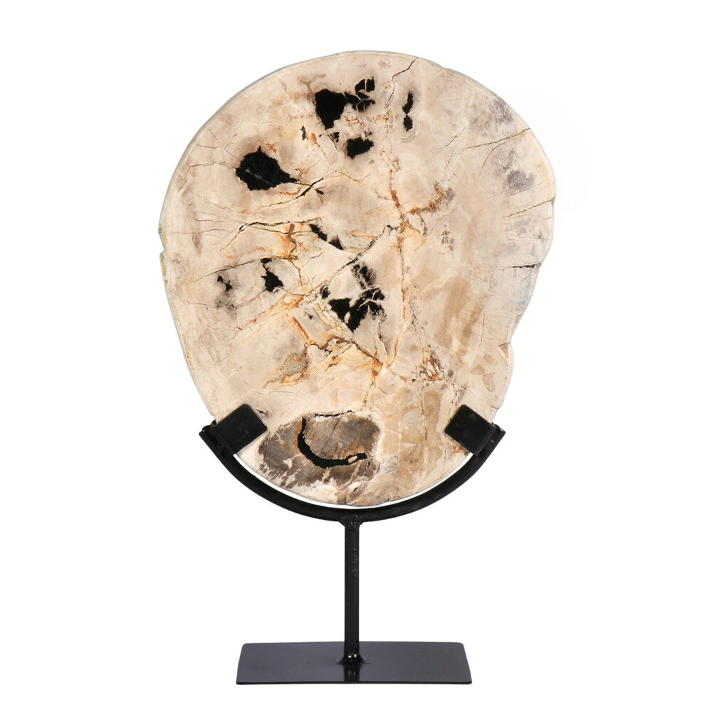 Versteend hout schijf gepolijst op standaard 24,5 x 21,2 x 2,4 cm | 1843 gram