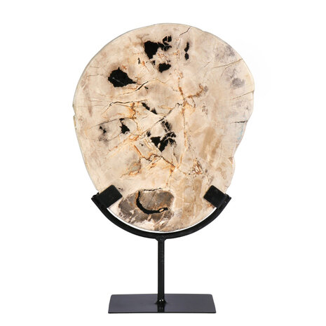 Versteend hout schijf gepolijst op standaard 24,5 x 21,2 x 2,4 cm | 1843 gram