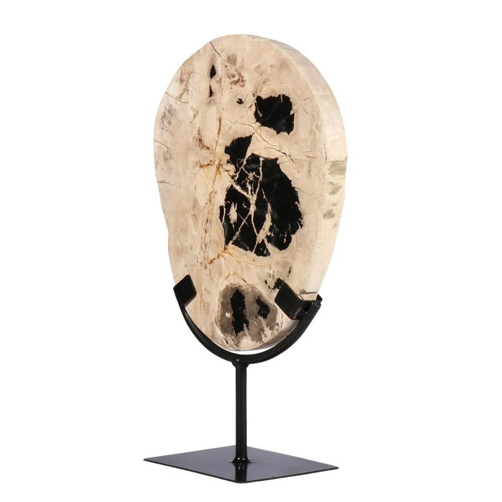 Versteend hout schijf gepolijst op standaard 24,5 x 21,2 x 2,4 cm | 1843 gram