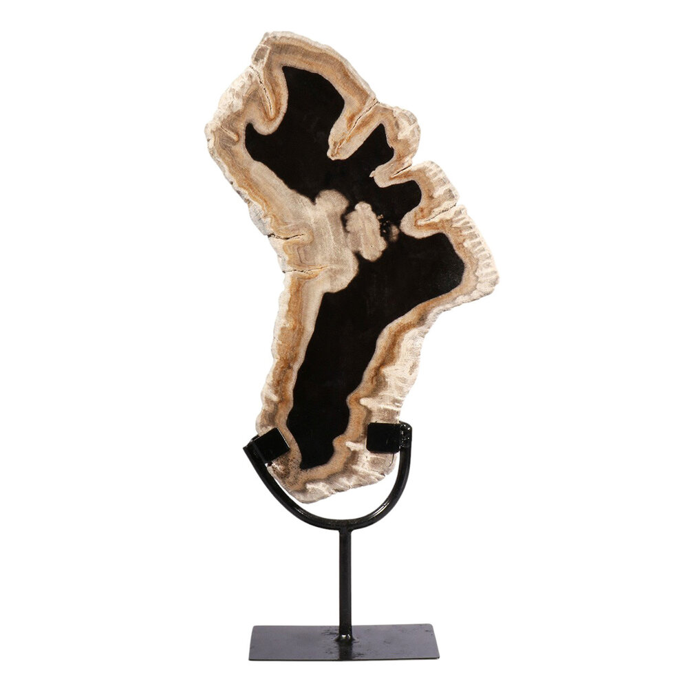 Versteend hout schijf gepolijst op standaard 31,5 x 19,5 x 2,4 cm | 2093 gram